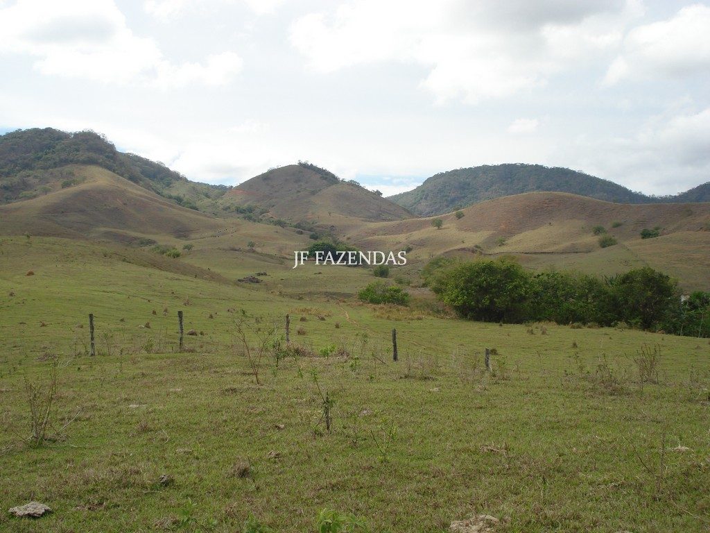 Fazenda em Rochedo de Minas – MG – 121 hectares