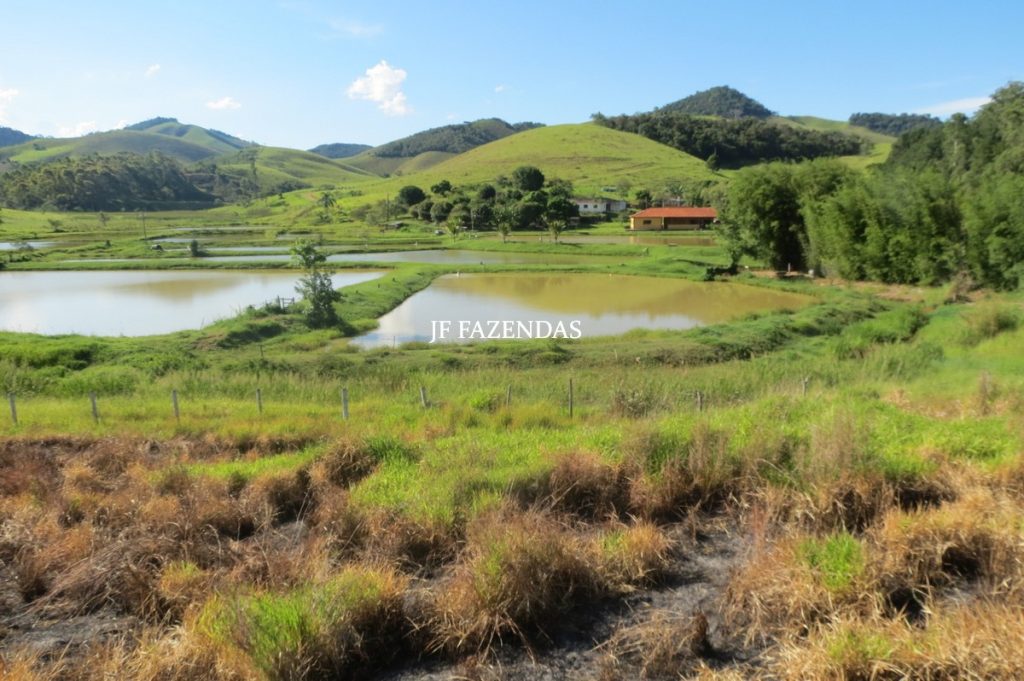 Sítio/Rancho em Bicas – MG – 65 hectares Sítio/Rancho em Bicas – MG – 65 hectares