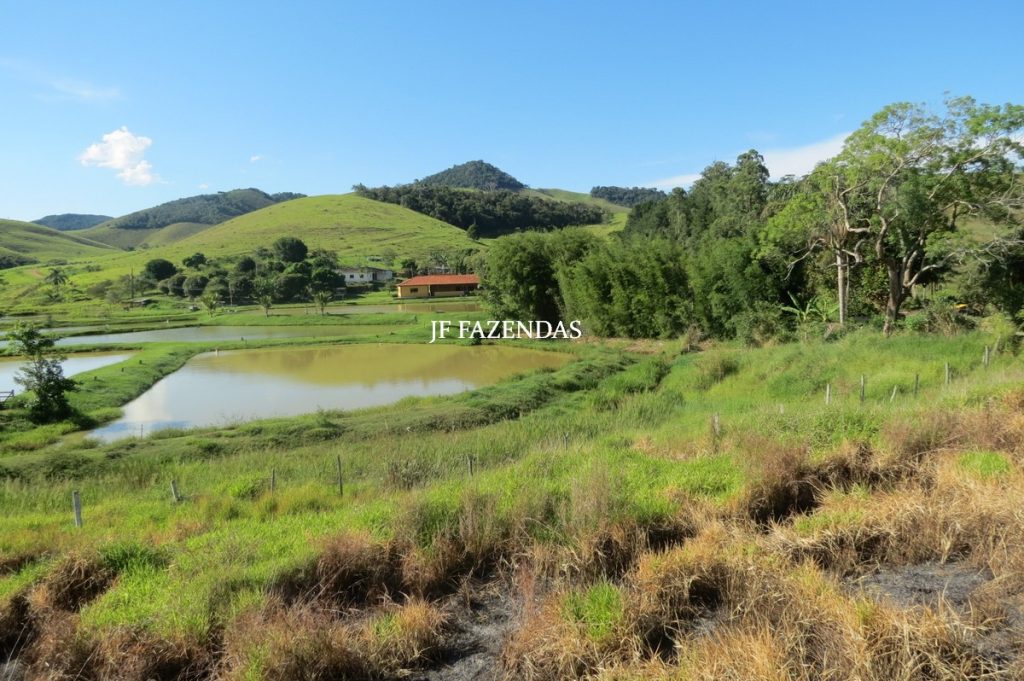 Sítio/Rancho em Bicas – MG – 65 hectares Sítio/Rancho em Bicas – MG – 65 hectares
