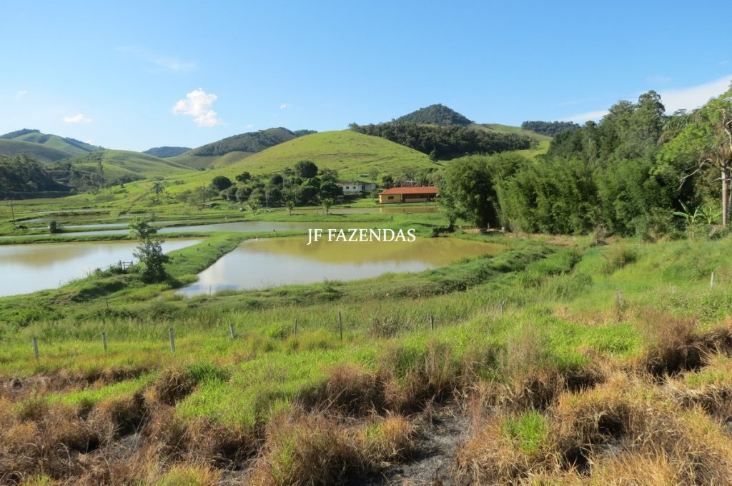 Sítio/Rancho em Bicas – MG – 65 hectares Sítio/Rancho em Bicas – MG – 65 hectares