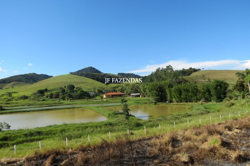 Sítio/Rancho em Bicas – MG – 65 hectares Sítio/Rancho em Bicas – MG – 65 hectares