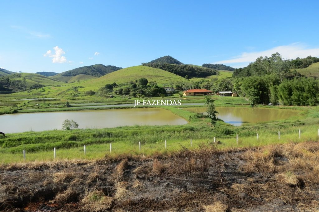 Sítio/Rancho em Bicas – MG – 65 hectares Sítio/Rancho em Bicas – MG – 65 hectares