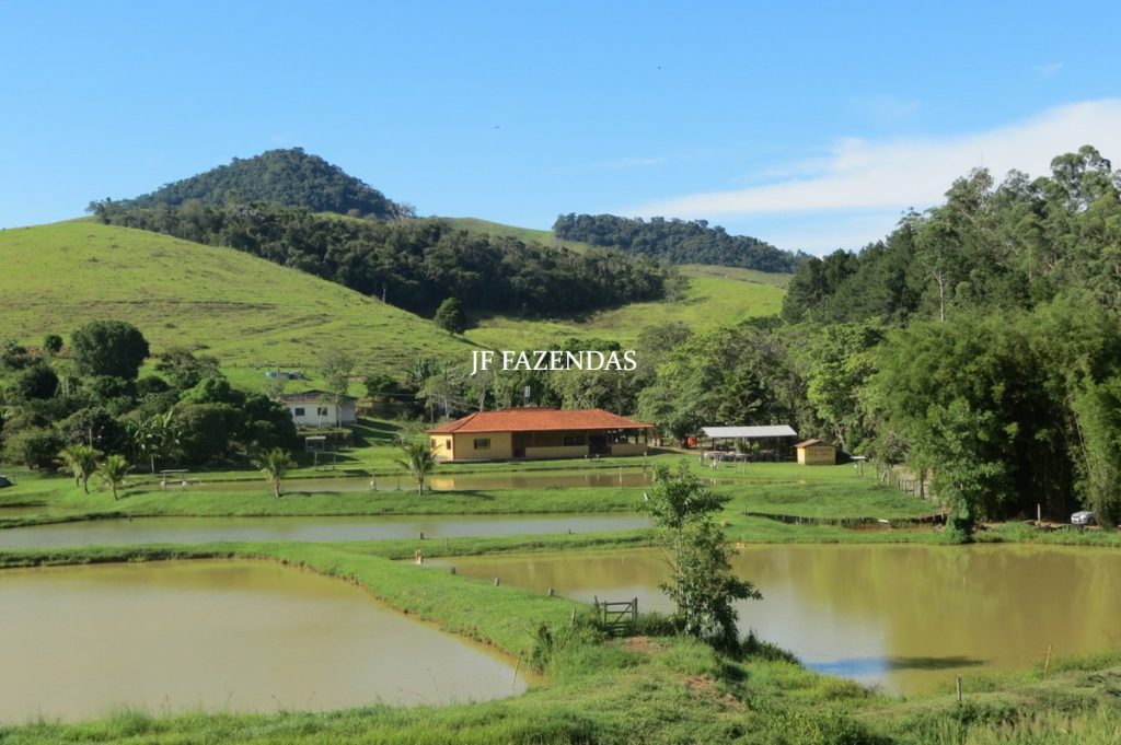 Sítio/Rancho em Bicas – MG – 65 hectares Sítio/Rancho em Bicas – MG – 65 hectares
