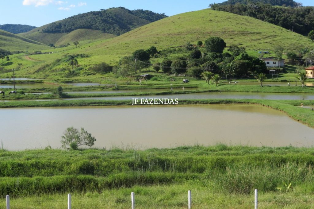 Sítio/Rancho em Bicas – MG – 65 hectares Sítio/Rancho em Bicas – MG – 65 hectares