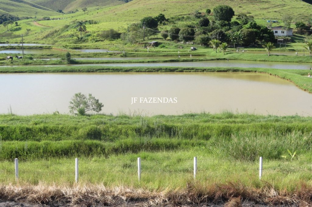Sítio/Rancho em Bicas – MG – 65 hectares Sítio/Rancho em Bicas – MG – 65 hectares