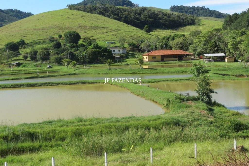 Sítio/Rancho em Bicas – MG – 65 hectares Sítio/Rancho em Bicas – MG – 65 hectares