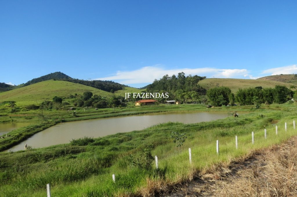 Sítio/Rancho em Bicas – MG – 65 hectares Sítio/Rancho em Bicas – MG – 65 hectares