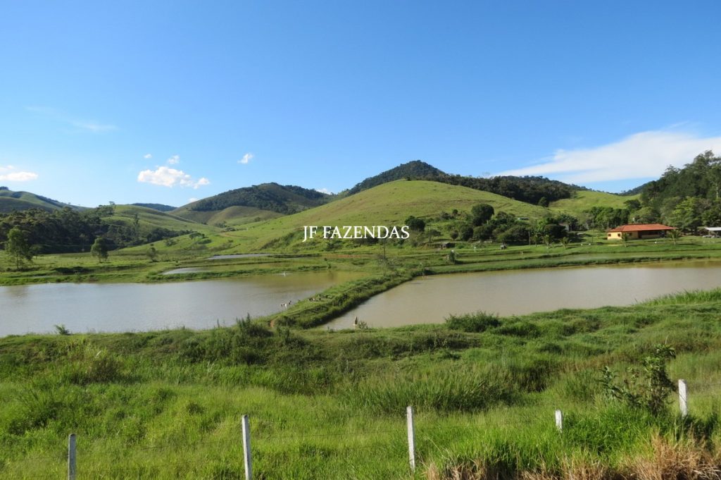 Sítio/Rancho em Bicas – MG – 65 hectares Sítio/Rancho em Bicas – MG – 65 hectares