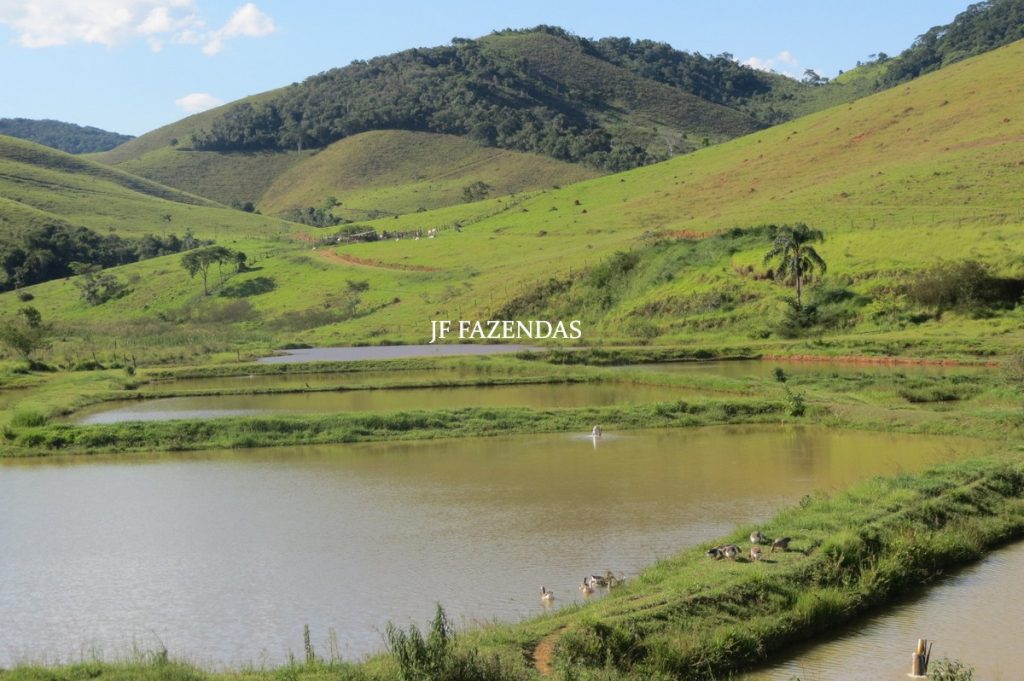 Sítio/Rancho em Bicas – MG – 65 hectares Sítio/Rancho em Bicas – MG – 65 hectares