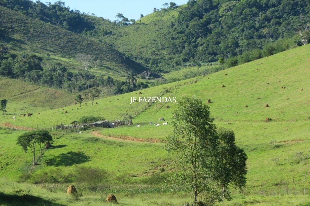 Sítio/Rancho em Bicas – MG – 65 hectares Sítio/Rancho em Bicas – MG – 65 hectares
