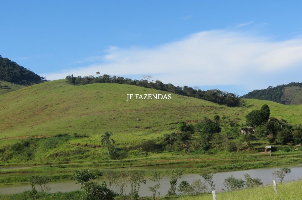 Sítio/Rancho em Bicas – MG – 65 hectares Sítio/Rancho em Bicas – MG – 65 hectares