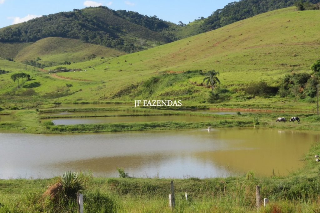 Sítio/Rancho em Bicas – MG – 65 hectares Sítio/Rancho em Bicas – MG – 65 hectares