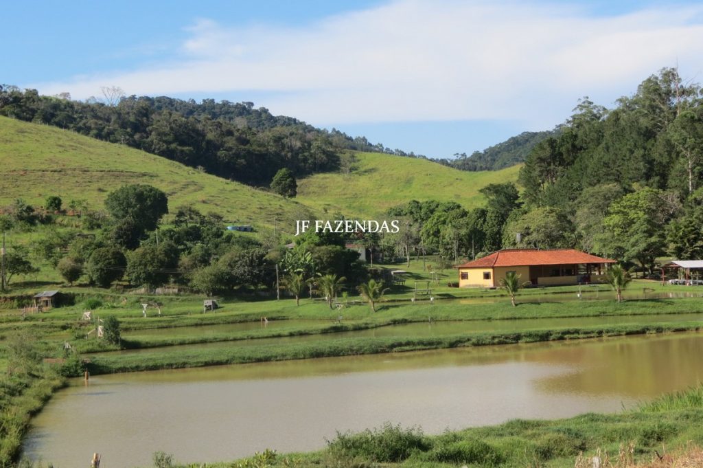 Sítio/Rancho em Bicas – MG – 65 hectares Sítio/Rancho em Bicas – MG – 65 hectares