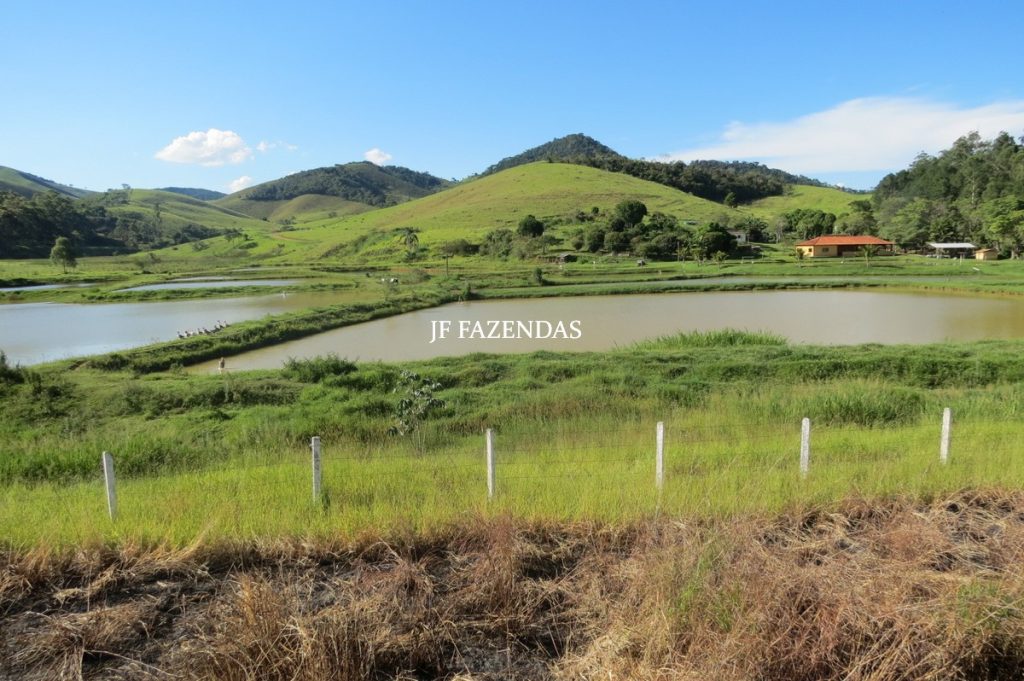 Sítio/Rancho em Bicas – MG – 65 hectares Sítio/Rancho em Bicas – MG – 65 hectares