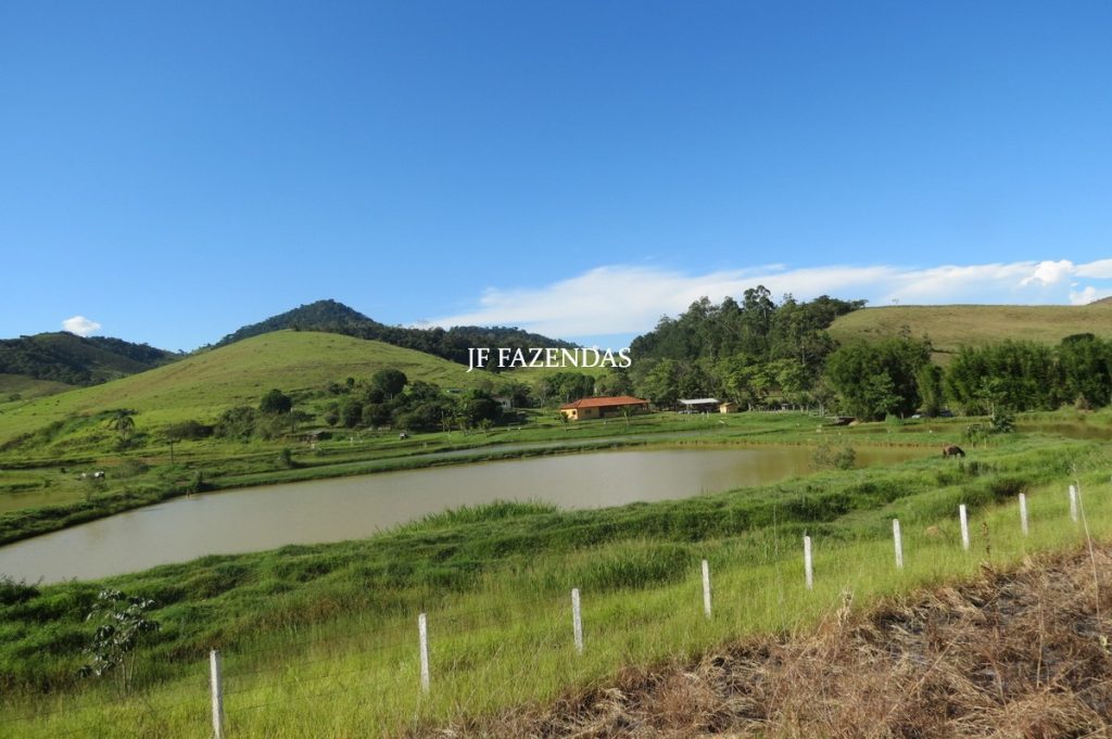 Sítio/Rancho em Bicas – MG – 65 hectares Sítio/Rancho em Bicas – MG – 65 hectares