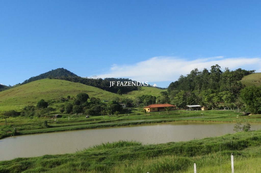 Sítio/Rancho em Bicas – MG – 65 hectares Sítio/Rancho em Bicas – MG – 65 hectares
