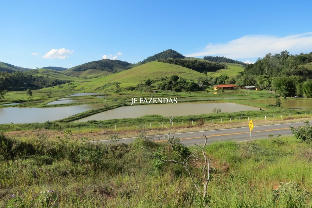 Sítio/Rancho em Bicas – MG – 65 hectares Sítio/Rancho em Bicas – MG – 65 hectares