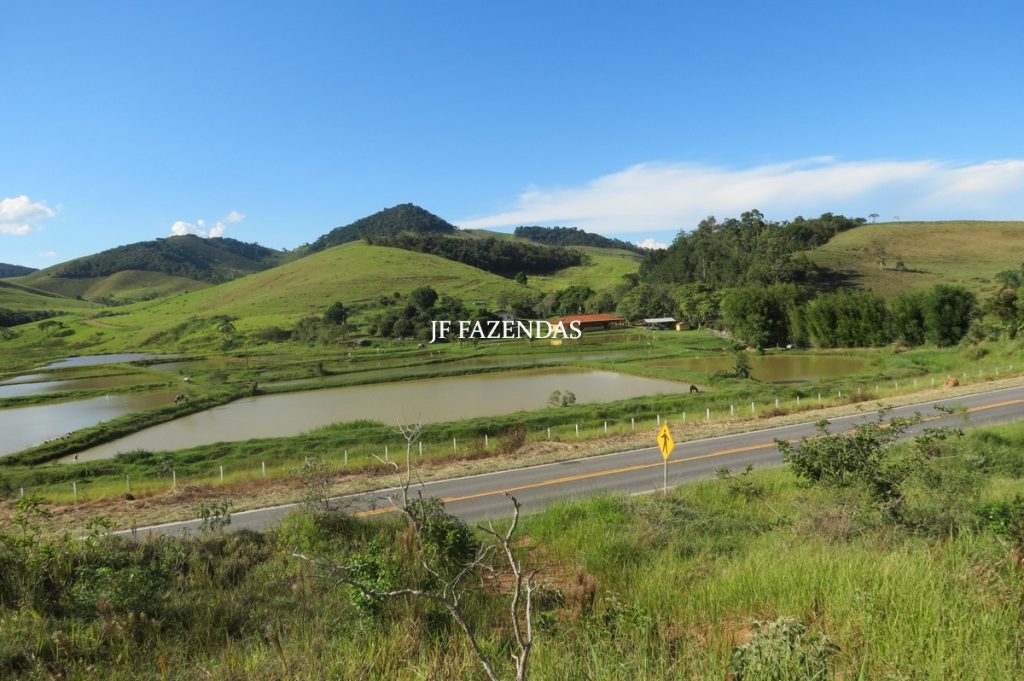 Sítio/Rancho em Bicas – MG – 65 hectares Sítio/Rancho em Bicas – MG – 65 hectares
