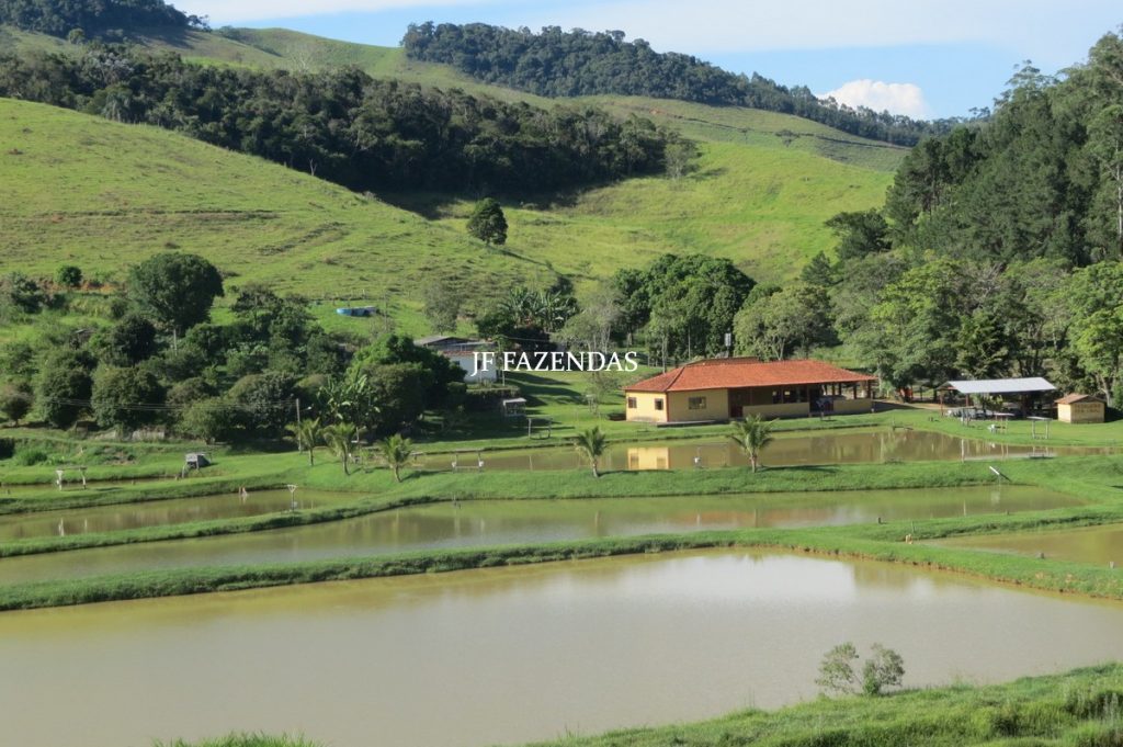 Sítio/Rancho em Bicas – MG – 65 hectares Sítio/Rancho em Bicas – MG – 65 hectares