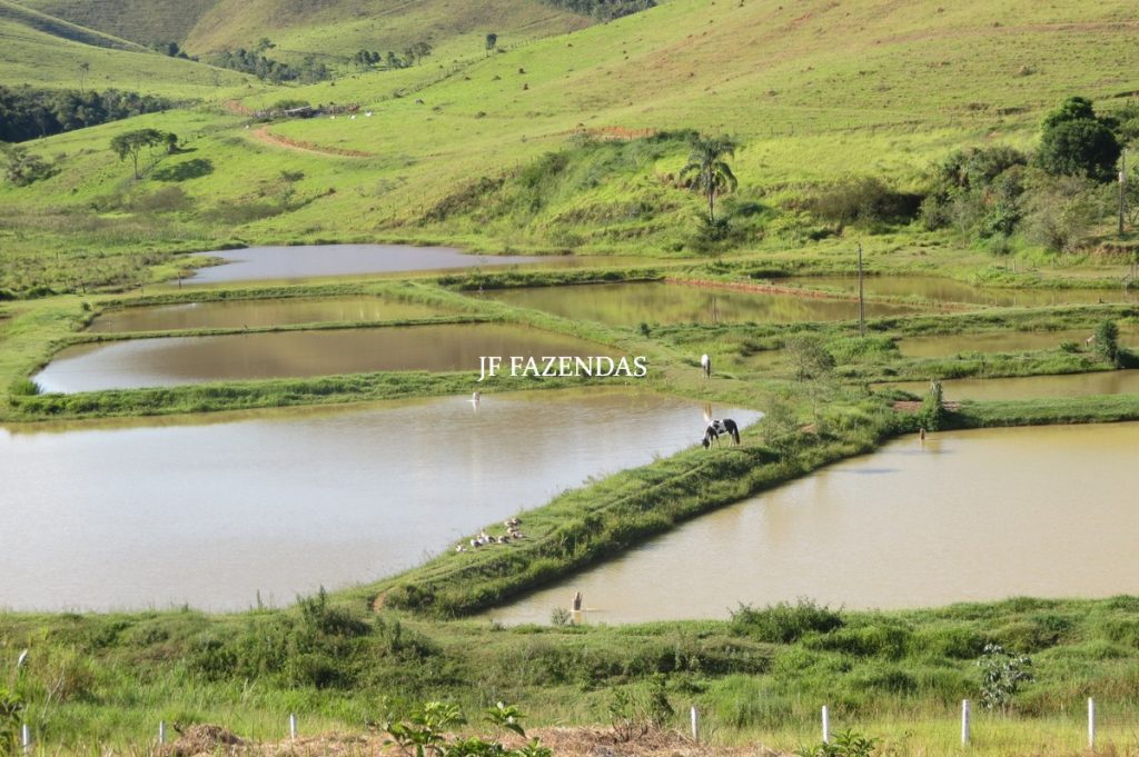 Sítio/Rancho em Bicas – MG – 65 hectares Sítio/Rancho em Bicas – MG – 65 hectares