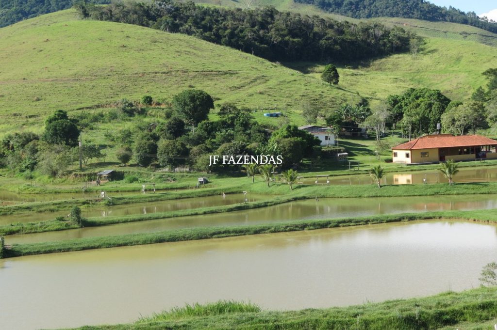 Sítio/Rancho em Bicas – MG – 65 hectares Sítio/Rancho em Bicas – MG – 65 hectares