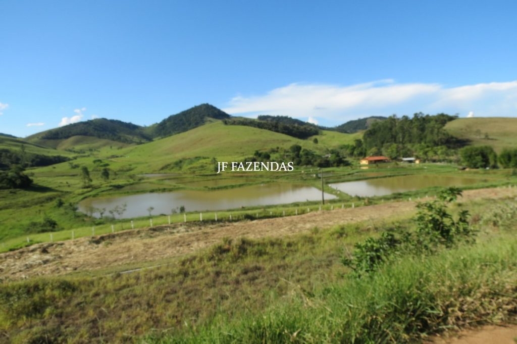 Sítio/Rancho em Bicas – MG – 65 hectares Sítio/Rancho em Bicas – MG – 65 hectares
