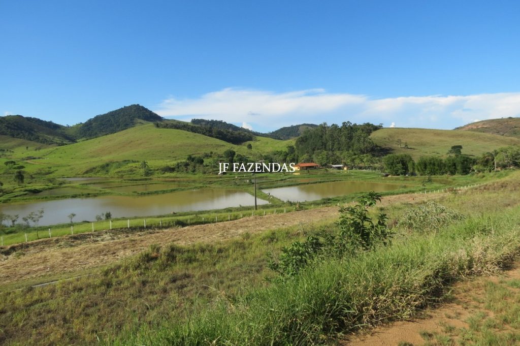 Sítio/Rancho em Bicas – MG – 65 hectares Sítio/Rancho em Bicas – MG – 65 hectares