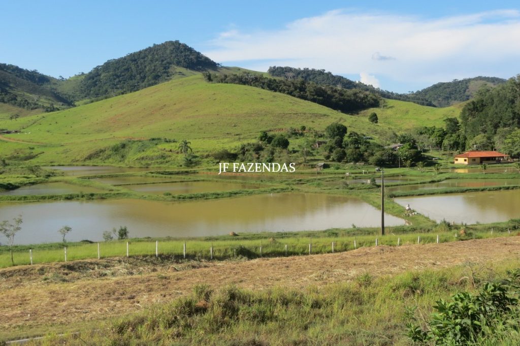 Sítio/Rancho em Bicas – MG – 65 hectares Sítio/Rancho em Bicas – MG – 65 hectares