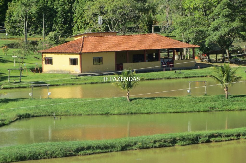 Sítio/Rancho em Bicas – MG – 65 hectares Sítio/Rancho em Bicas – MG – 65 hectares