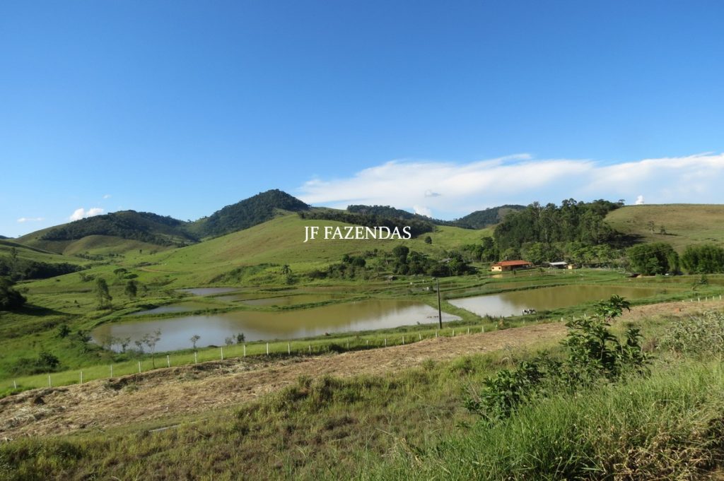 Sítio/Rancho em Bicas – MG – 65 hectares Sítio/Rancho em Bicas – MG – 65 hectares