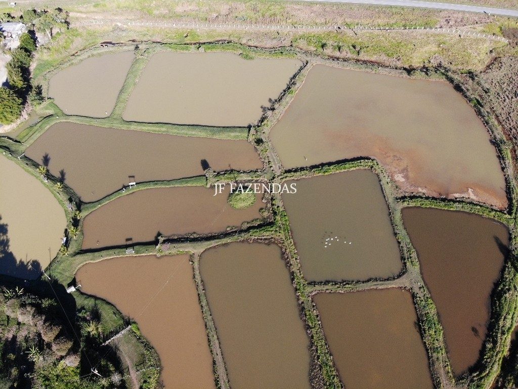 Sítio/Rancho em Bicas – MG – 65 hectares Sítio/Rancho em Bicas – MG – 65 hectares