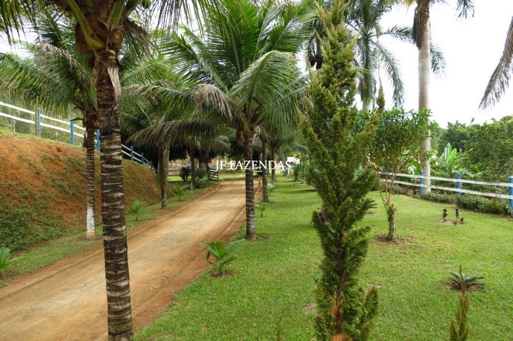 Fazenda em Piau-MG – 64 hectares Fazenda em Piau-MG – 64 hectares