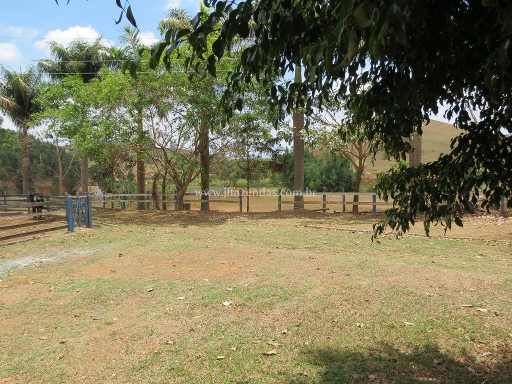 Fazenda em Piau-MG – 64 hectares Fazenda em Piau-MG – 64 hectares