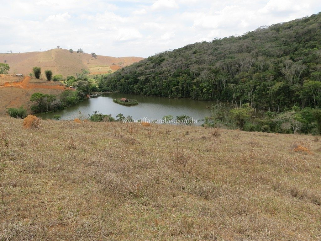 Fazenda em Piau-MG – 64 hectares Fazenda em Piau-MG – 64 hectares