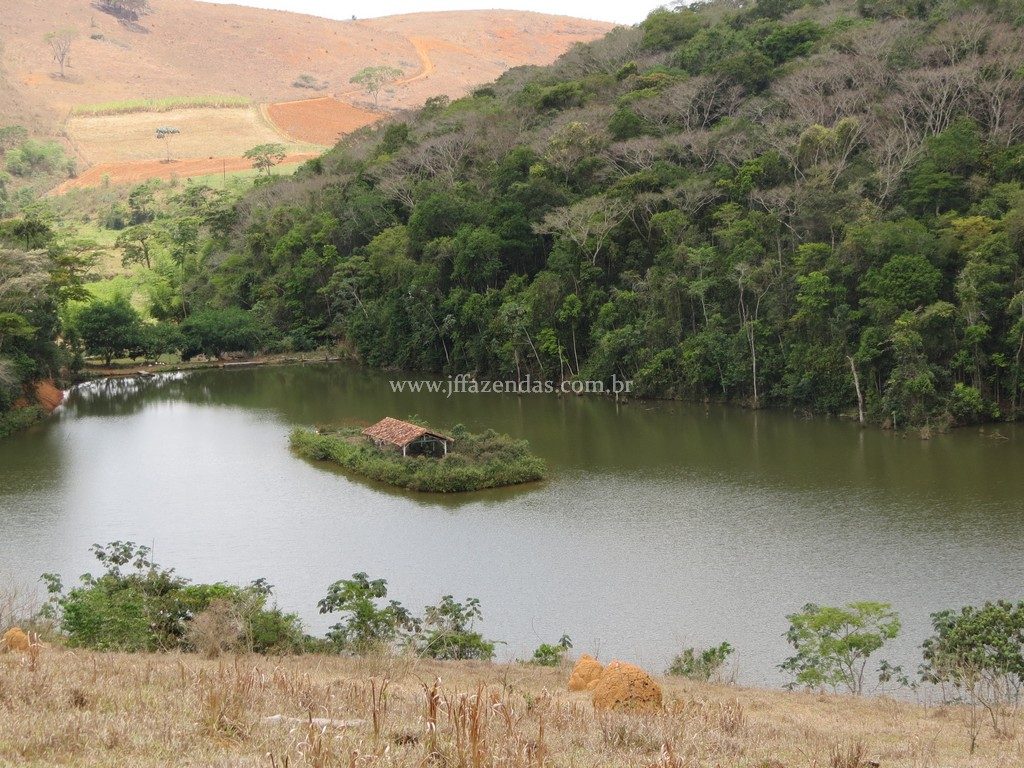 Fazenda em Piau-MG – 64 hectares Fazenda em Piau-MG – 64 hectares