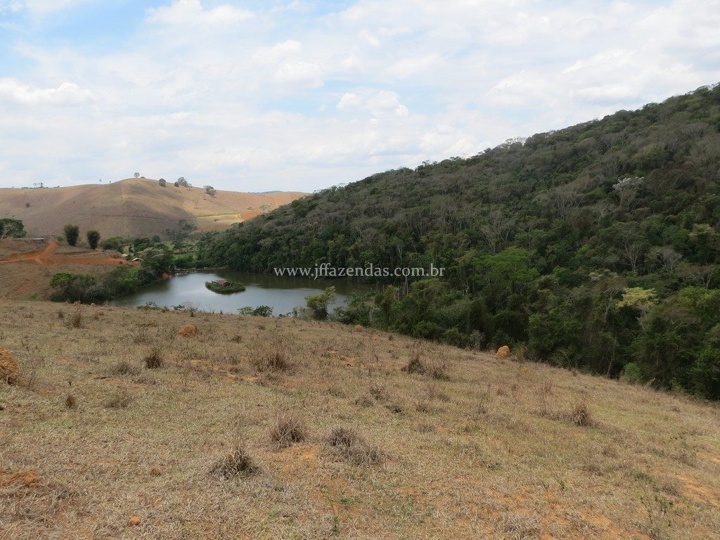 Fazenda em Piau-MG – 64 hectares Fazenda em Piau-MG – 64 hectares