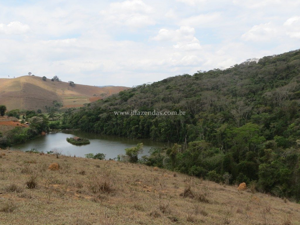 Fazenda em Piau-MG – 64 hectares Fazenda em Piau-MG – 64 hectares