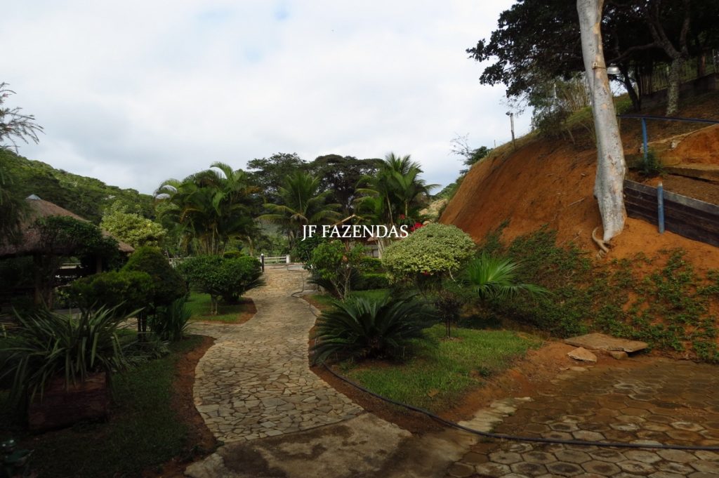 Fazenda em Piau-MG – 64 hectares Fazenda em Piau-MG – 64 hectares