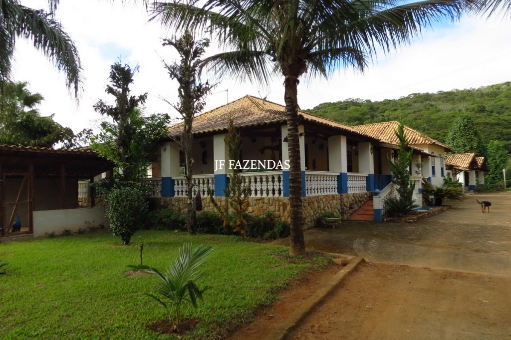 Fazenda em Piau-MG – 64 hectares Fazenda em Piau-MG – 64 hectares