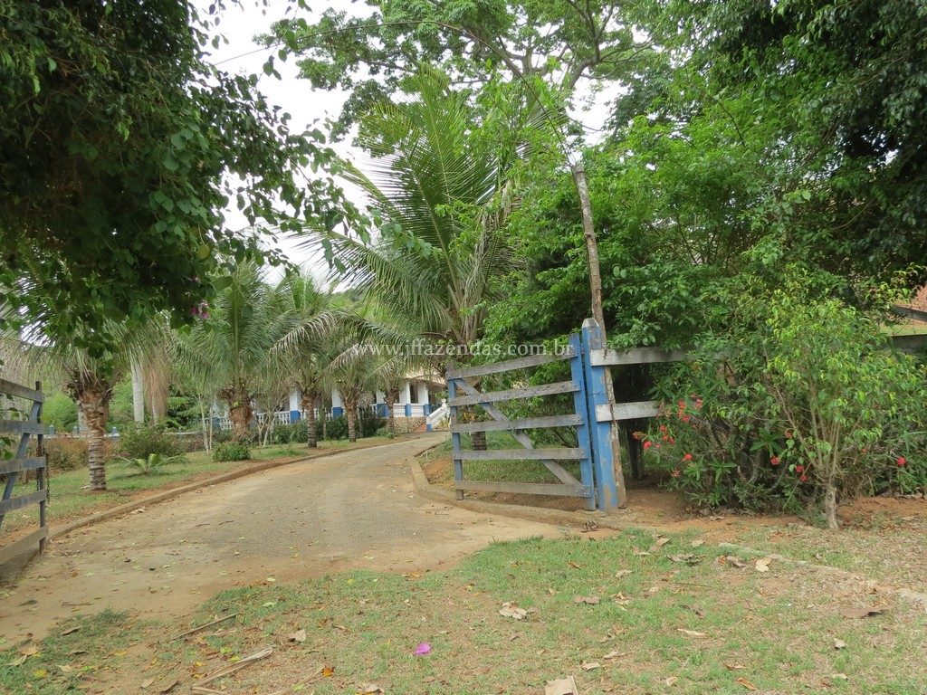 Fazenda em Piau-MG – 64 hectares Fazenda em Piau-MG – 64 hectares