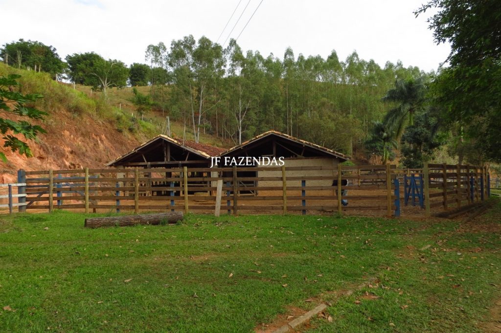 Fazenda em Piau-MG – 64 hectares Fazenda em Piau-MG – 64 hectares