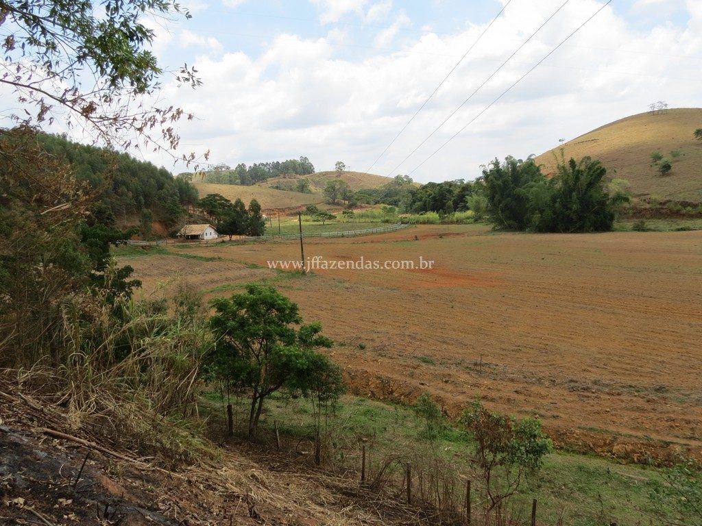 Fazenda em Piau-MG – 64 hectares Fazenda em Piau-MG – 64 hectares