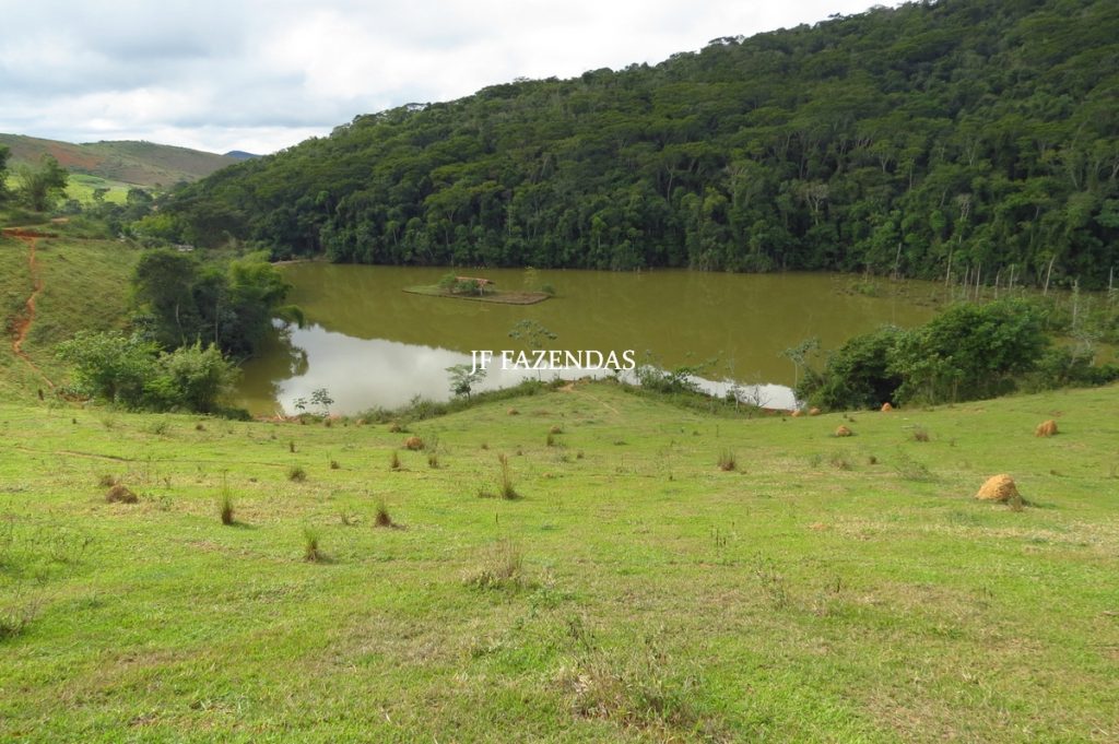 Fazenda em Piau-MG – 64 hectares Fazenda em Piau-MG – 64 hectares