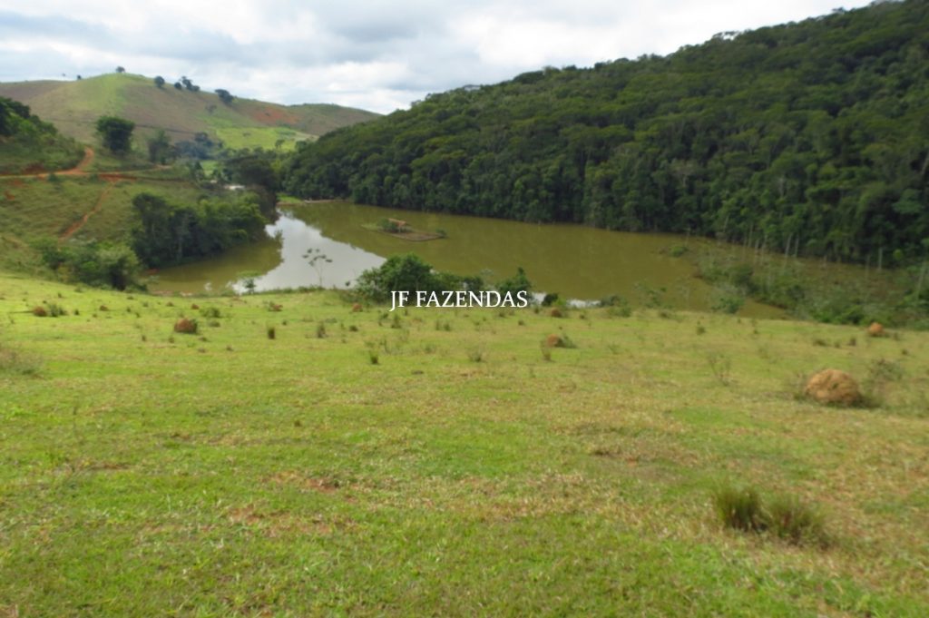 Fazenda em Piau-MG – 64 hectares Fazenda em Piau-MG – 64 hectares