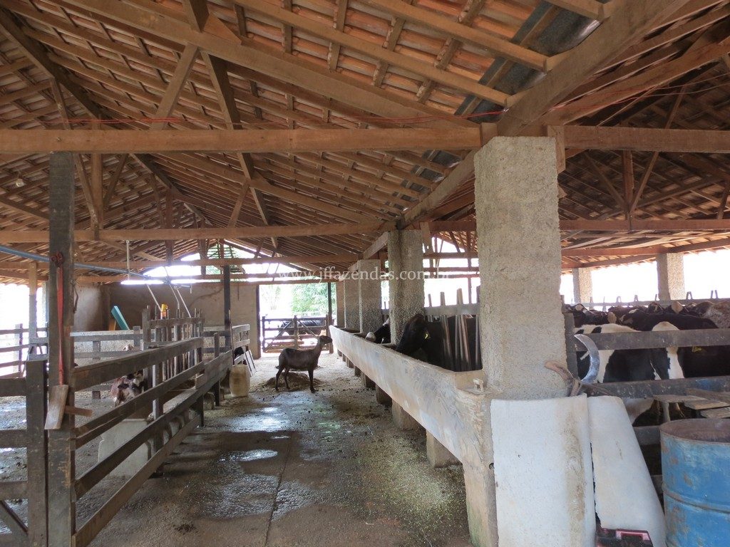Fazenda em Piau-MG – 64 hectares Fazenda em Piau-MG – 64 hectares
