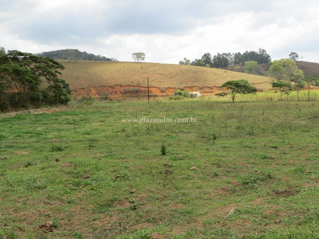 Fazenda em Piau-MG – 64 hectares Fazenda em Piau-MG – 64 hectares