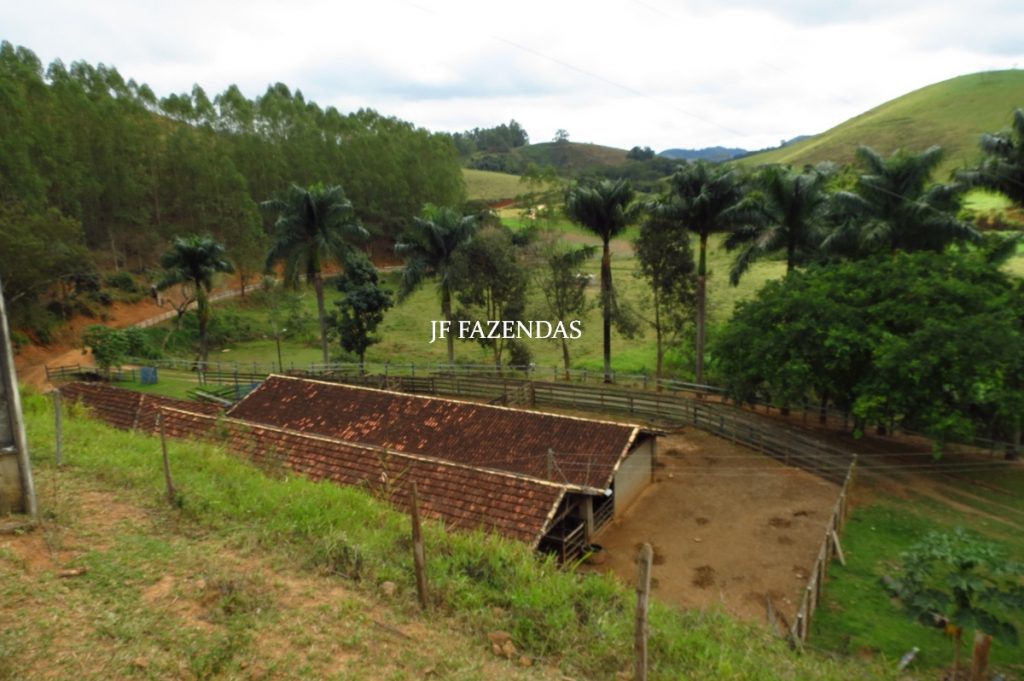 Fazenda em Piau-MG – 64 hectares Fazenda em Piau-MG – 64 hectares