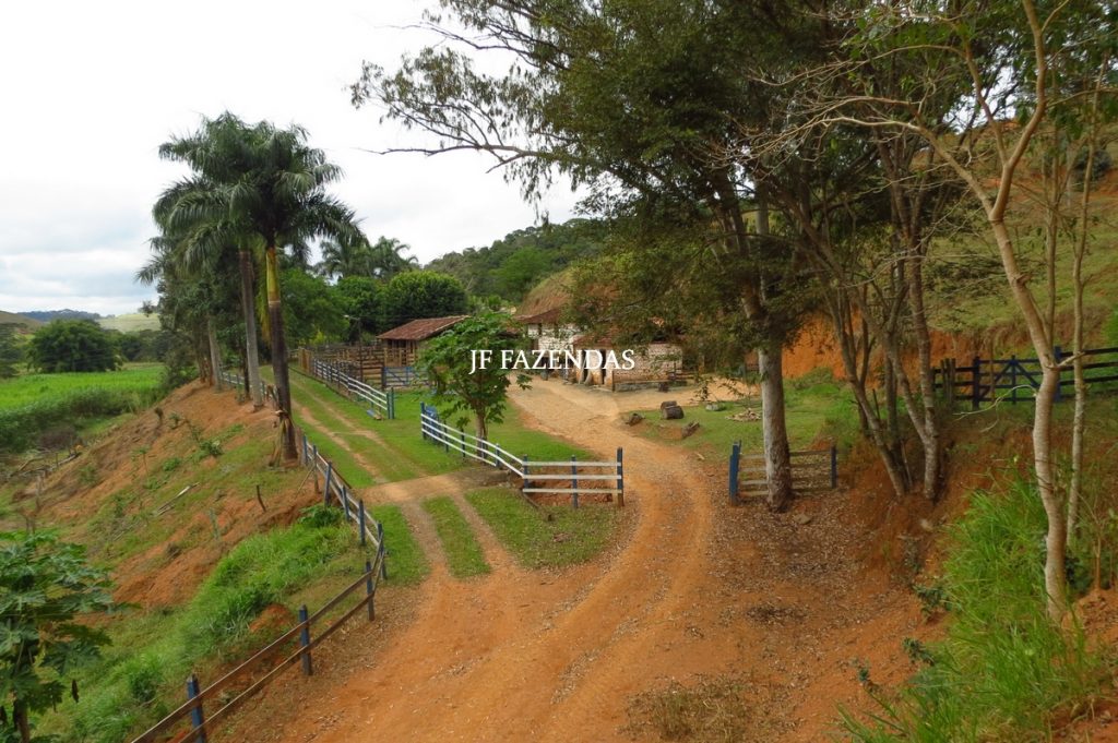 Fazenda em Piau-MG – 64 hectares Fazenda em Piau-MG – 64 hectares