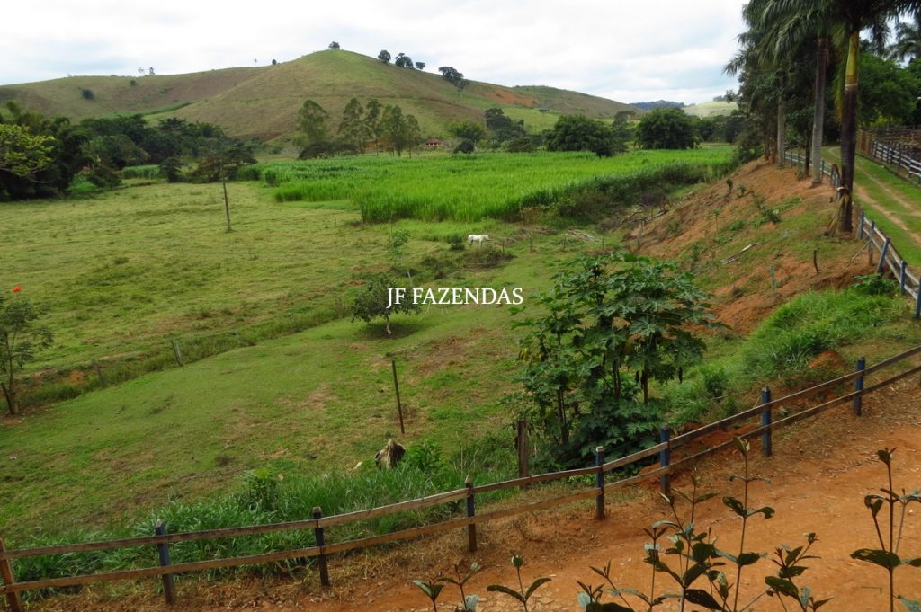 Fazenda em Piau-MG – 64 hectares Fazenda em Piau-MG – 64 hectares
