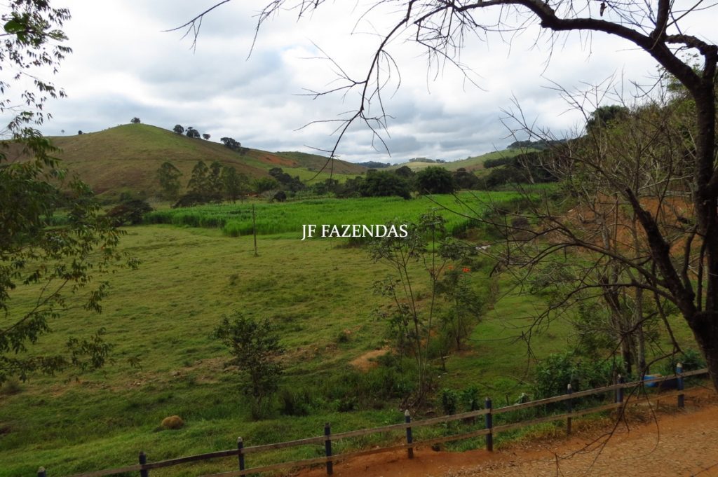 Fazenda em Piau-MG – 64 hectares Fazenda em Piau-MG – 64 hectares